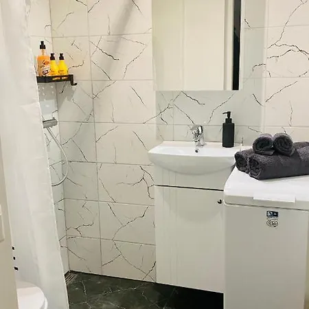 Gemini Homes Ringi 公寓 派尔努